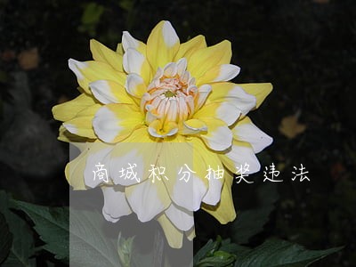 商城积分抽奖违法 商城积分抽奖违法