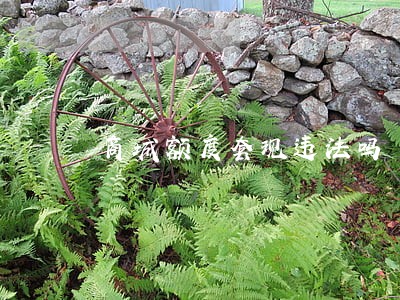 商城额度套现违法吗 商城额度套现违法吗