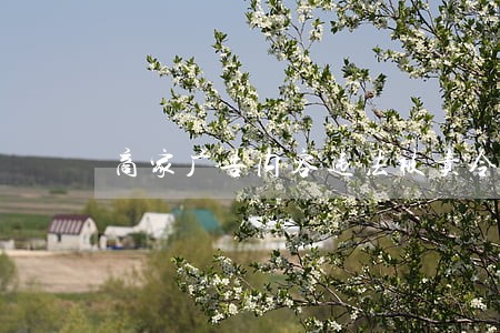 商家广告内容违法被责令改正 商家广告内容违法被责令改正