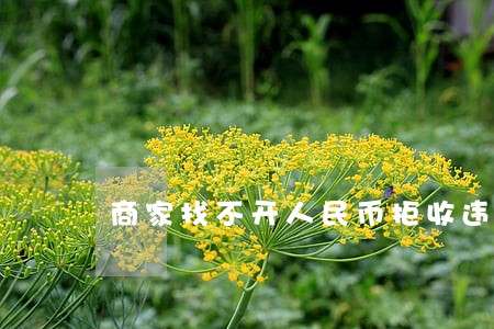 商家找不开人民币拒收违法么 商家找不开人民币拒收违法么