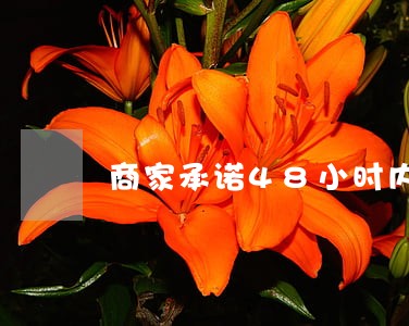 商家承诺48小时内发货逾期 商家承诺48小时内发货逾期