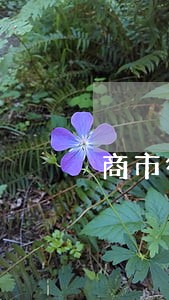 商市征路执行局