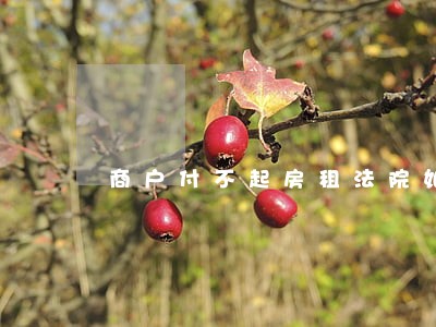 商户付不起房租法院如何处理 商户付不起房租法院如何处理