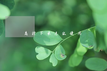 商标下来怎么使用 商标下来怎么使用