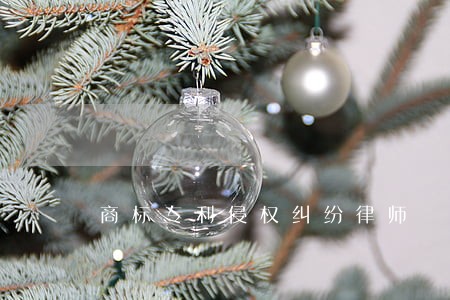 商标专利侵权纠纷律师 商标专利侵权纠纷律师