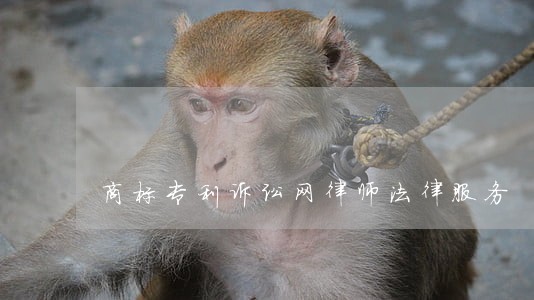 商标专利诉讼网律师法律服务 商标专利诉讼网律师法律服务
