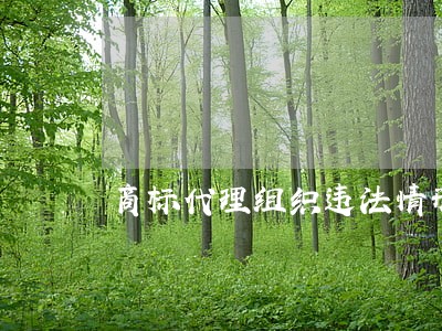 商标代理组织违法情形