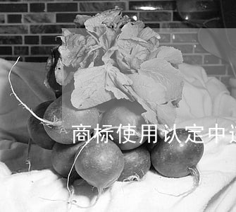 商标使用认定中违法使用行为 商标使用认定中违法使用行为