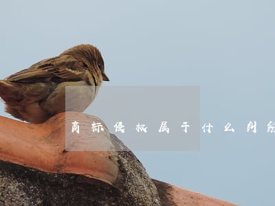 商标侵权属于什么纠纷 商标侵权属于什么纠纷