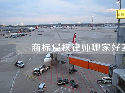 商标侵权律师哪家好泰科律师