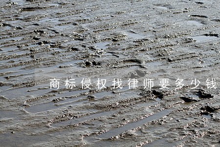 商标侵权找律师要多少钱 商标侵权找律师要多少钱