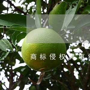 商标侵权民事纠纷案例 商标侵权民事纠纷案例
