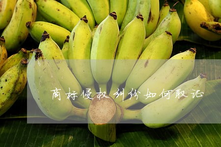 商标侵权纠纷如何取证 商标侵权纠纷如何取证