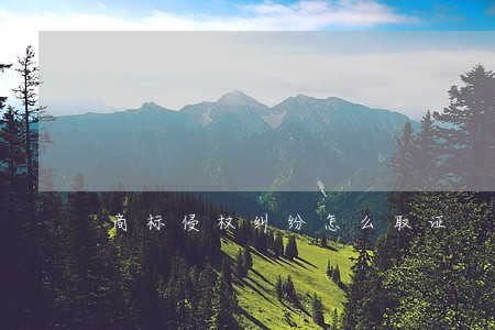 商标侵权纠纷怎么取证