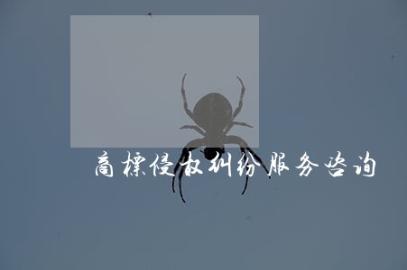 商标侵权纠纷服务咨询 商标侵权纠纷服务咨询