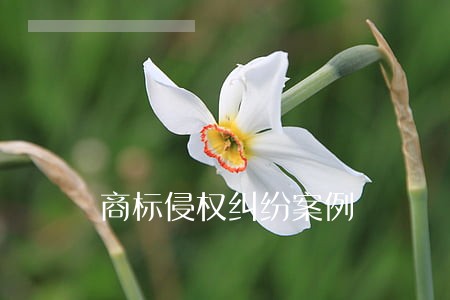 商标侵权纠纷案例 商标侵权纠纷案例