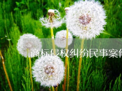 商标侵权纠纷民事案件 商标侵权纠纷民事案件