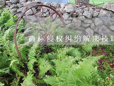 商标侵权纠纷解决技巧 商标侵权纠纷解决技巧