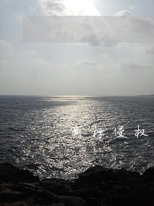 商标侵权纠纷诉讼时效 商标侵权纠纷诉讼时效