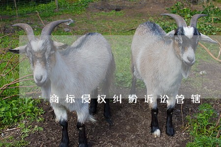 商标侵权纠纷诉讼管辖 商标侵权纠纷诉讼管辖