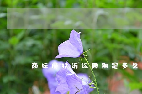 商标侵权诉讼周期是多久 商标侵权诉讼周期是多久