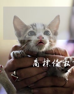 商标侵权诉讼律师收费适宜 商标侵权诉讼律师收费适宜