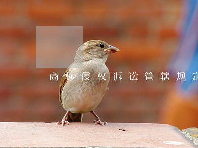 商标侵权诉讼管辖规定