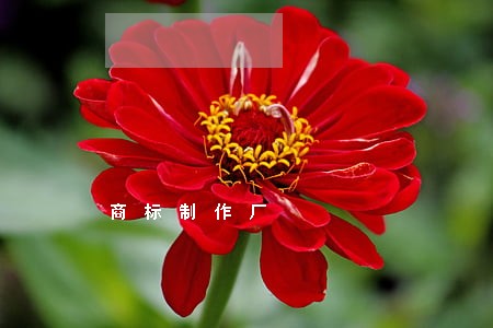商标制作厂 商标制作厂
