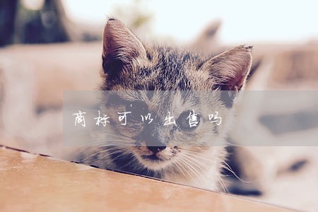 商标可以出售吗