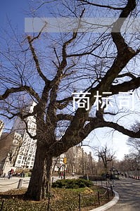 商标司法冻结 商标司法冻结