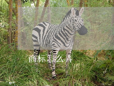 商标怎么弄 商标怎么弄