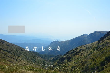 商标怎么看 商标怎么看
