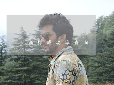 商标成功率查询 商标成功率查询