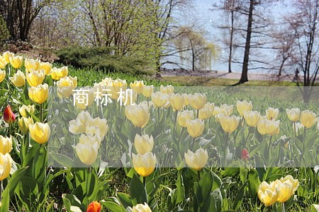 商标机 商标机