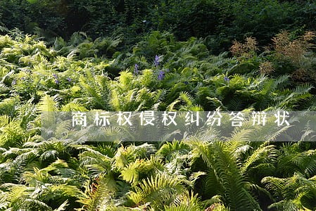 商标权侵权纠纷答辩状 商标权侵权纠纷答辩状