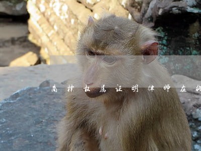 商标权属证明律师在线 商标权属证明律师在线