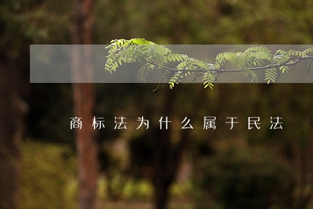 商标法为什么属于民法 商标法为什么属于民法