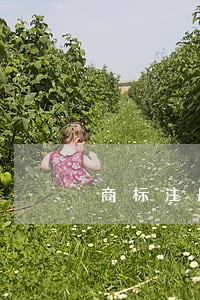 商标注册在哪个部门 商标注册在哪个部门