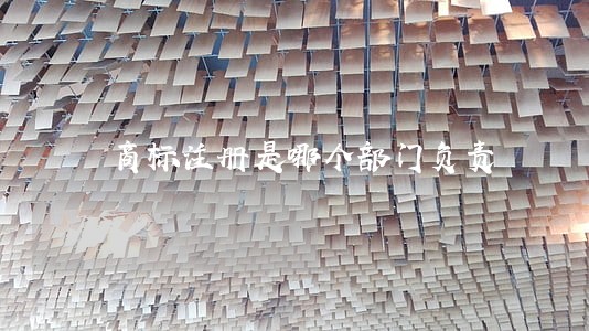 商标注册是哪个部门负责 商标注册是哪个部门负责