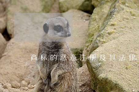 商标的恶意注册及其法律后果 商标的恶意注册及其法律后果