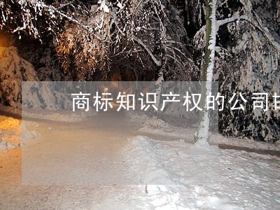 商标知识产权的公司邯郸 商标知识产权的公司邯郸