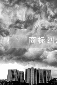 商标纠纷诉讼时间是多少天 商标纠纷诉讼时间是多少天