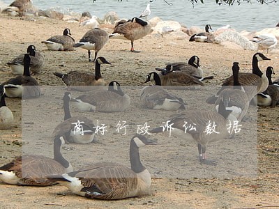 商标行政诉讼数据