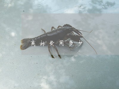 商标费用多少 商标费用多少