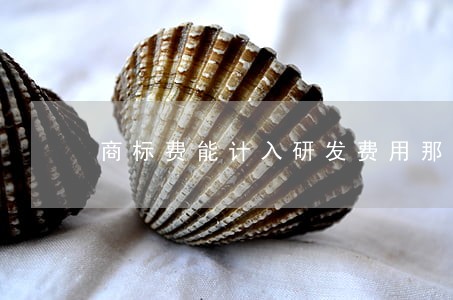 商标费能计入研发费用那 商标费能计入研发费用那