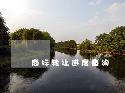 商标转让进度查询