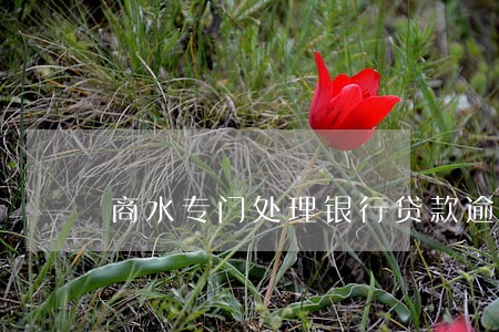 商水专门处理银行贷款逾期 商水专门处理银行贷款逾期