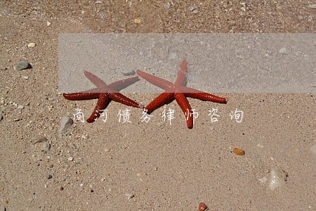 商河债务律师咨询 商河债务律师咨询