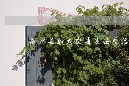 商河县加大交通违法整治力度 商河县加大交通违法整治力度
