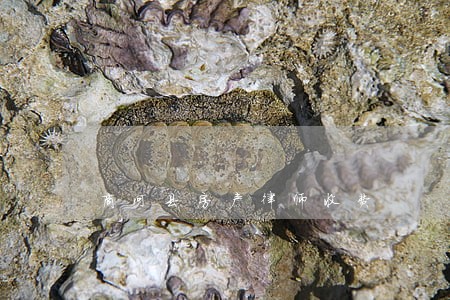 商河县房产律师收费